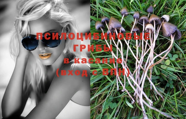 СК Чита